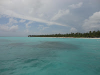 Ilha Saona