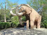 Mamut