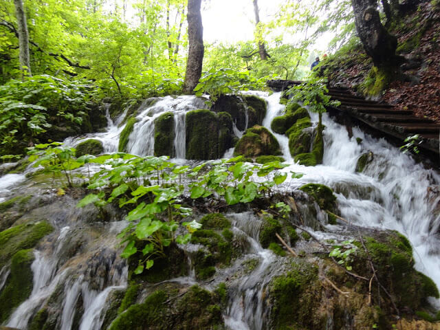 Plitvice se nahaja na Hrvaškem.