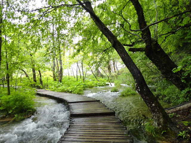 Hrvaška Plitvička jezera