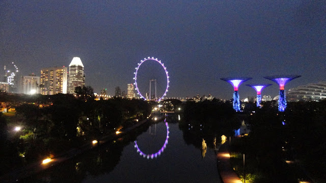 Parque Garden (Gardens by the Bay)