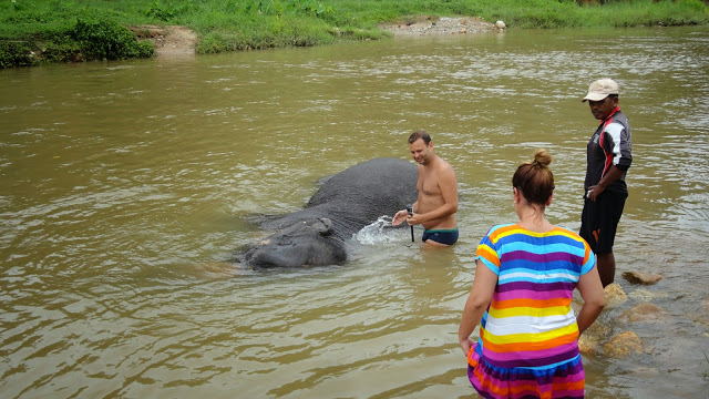 Banho em Elefante