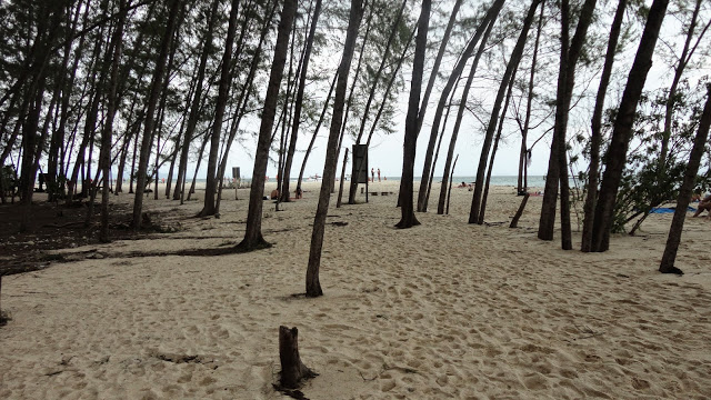 Ko Phi Phi