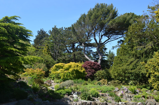 Dublin Botanical Gardens