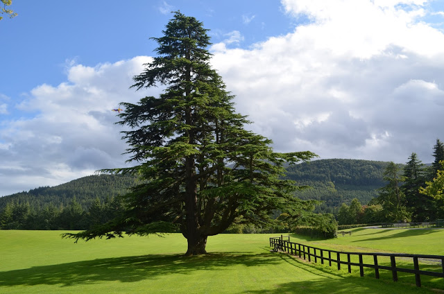 Tollymore Forest Park