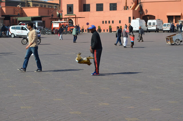 Marrocos a Praça Jemma El Fnaa