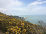 Killiney