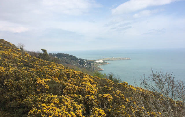 Killiney