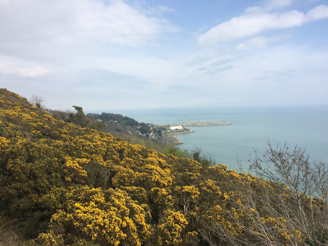 Killiney