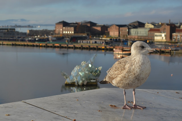 Oslo Opera