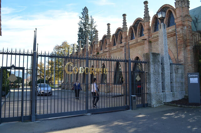 Codorniu Winery