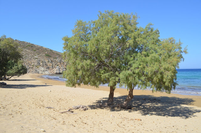 Praia de Psili Amos