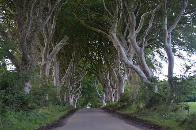 Estrada que ficou famosa por ser cenário de Game of Thrones