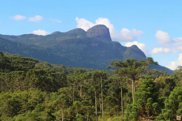 Vista de cima do Pico do Papagaio