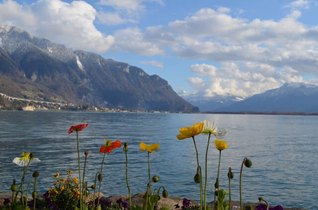 o que fazer em Montreux