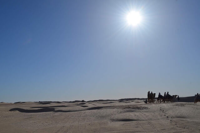 passeio de camelo pelas dunas da Tunísia