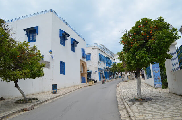 O que fazer em Sidi Bou Said