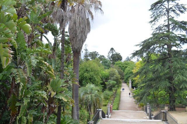 jardim botânico