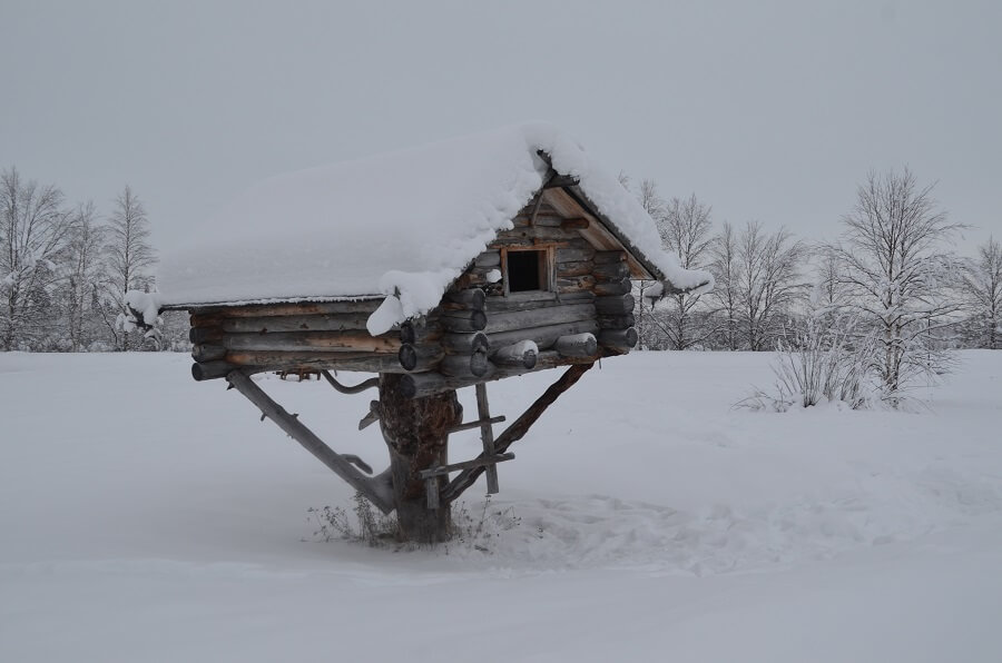 Casa na arvore do hotel em Ivalo