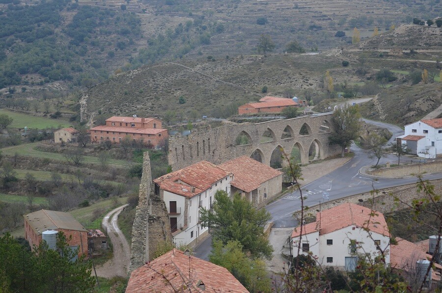 Morella