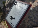 Bezas, el parque natural de Pinares Roden y pinturas rupestres