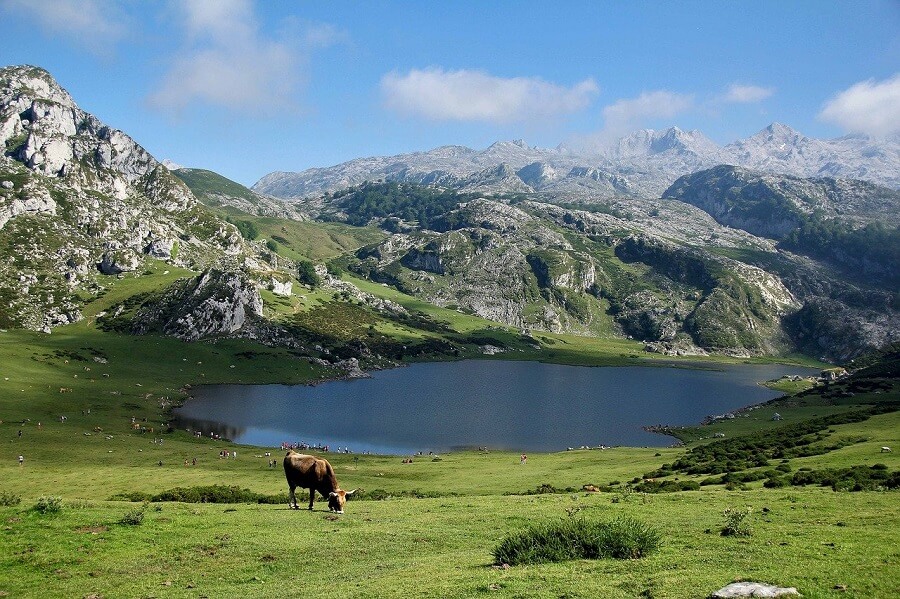 Picos de Europa