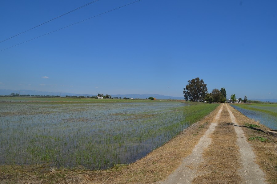 Excursiones a pie y en bicicleta