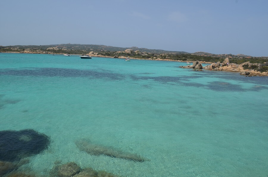 praia da cabeça do polvo