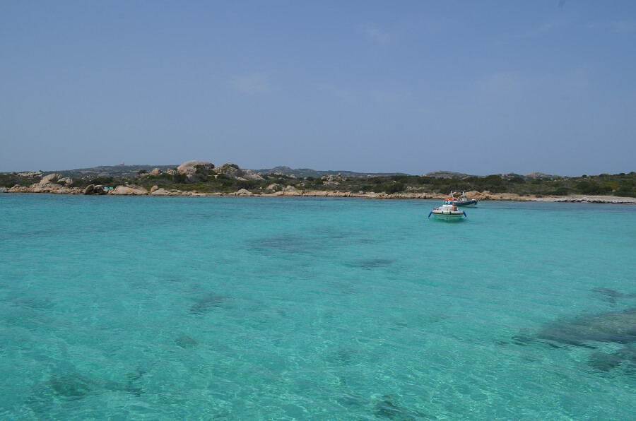 praia da cabeça do polvo