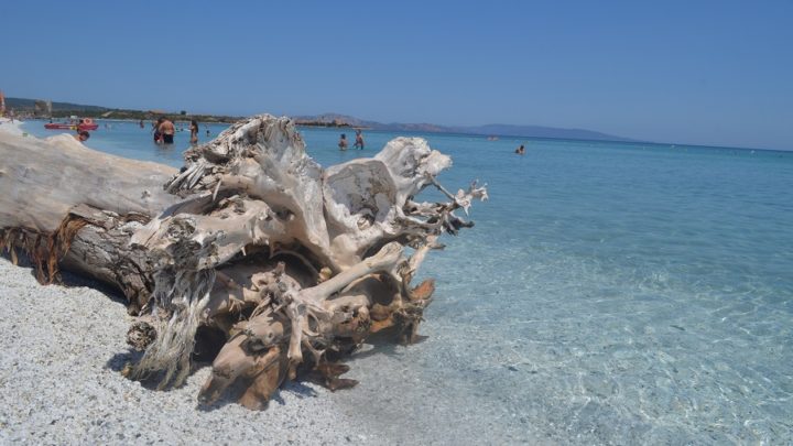 O que fazer em Porto Torres na Sardenha?