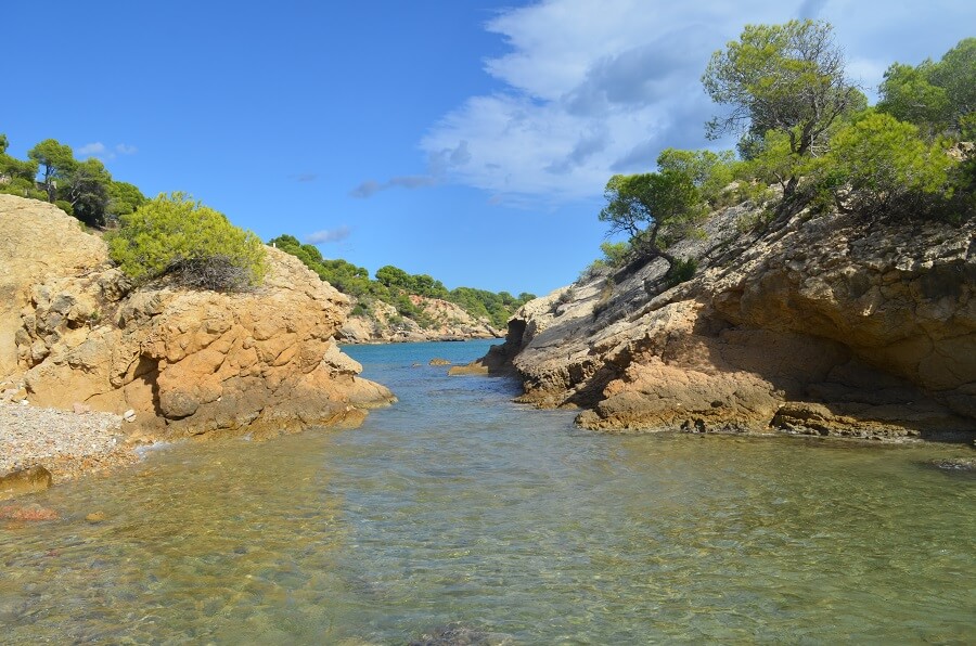 Illot de l'Àliga